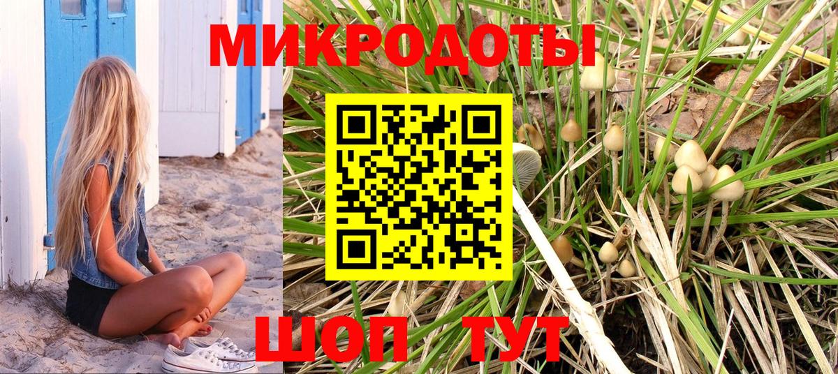 Галлюциногенные грибы мухоморы  Вход с VPN  Сердобск 