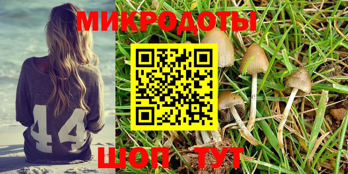 Псилоцибиновые грибы MAGIC MUSHROOMS Сердобск